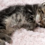 问鼎娱乐:如何有效管理团队以实现业务目标 791ug