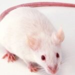 问鼎娱乐平台的用户注册与账户安全注意事项 g9819