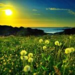 问鼎app下载的版本对比:选择适合你的版本 if7r6lyjg