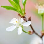 问鼎app下载的安装要求与兼容性分析 o3ns0ivbrp