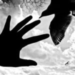 问鼎app下载的更新日志与版本历史回顾 ovlwm