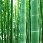 问鼎娱乐平台:探索全新在线娱乐体验的最佳选择 pqvyk9