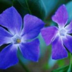 问鼎娱乐平台的支付方式与手续费详解 qnm8myb9